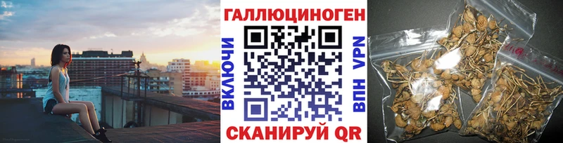 Галлюциногенные грибы Psilocybine cubensis mega как войти Приволжский